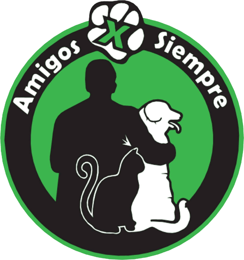 AMIGOS-X-SIEMPRE-LOGO-WEB